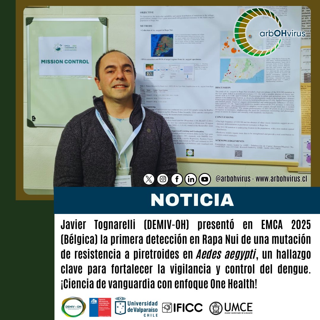 📢Javier Tognarelli (#DEMIVOH #arbOHvirus) presentó en la #EMCA2025 #ReadyForAction #Belgium la primera detección de mutaciones de #Resistencia a #Piretroides en #AedesAegypti de #RapaNui #Chile. Investigación clave en #OneHealth #Dengue #CienciaChilena.