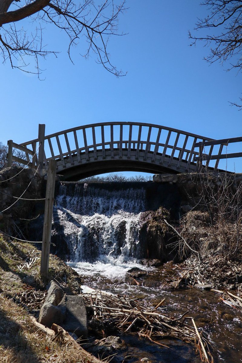 jake bender tweet media