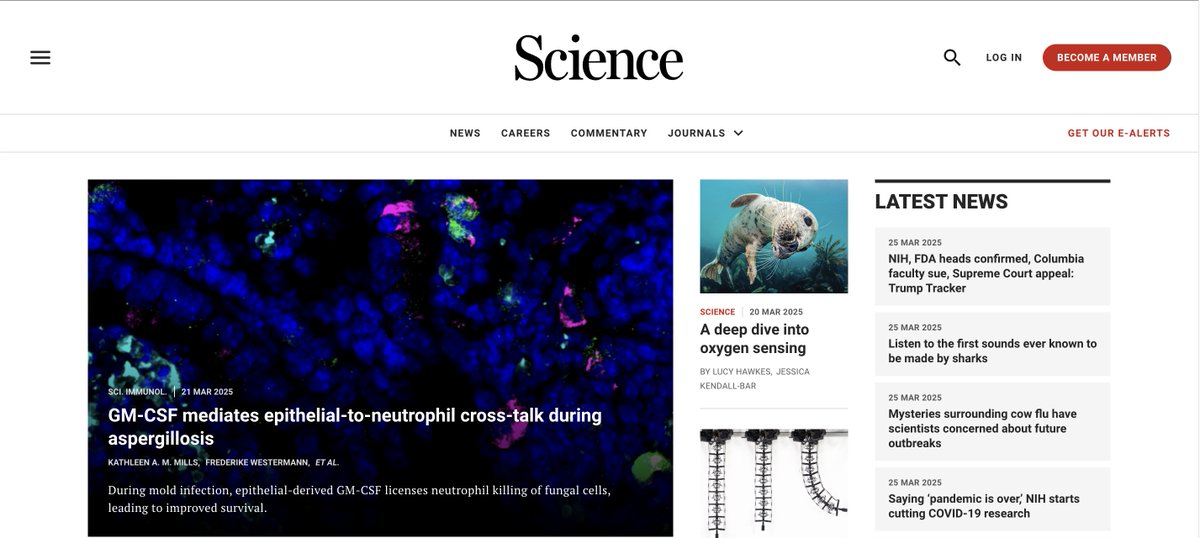kmills711's tweet image. My paper made the homepage of Science Magazine!! Actual Science Magazine!! Makes me think it's time to discuss the data... 🧵
science.org/doi/10.1126/sc…
(also, hello to that seal! 🦭)