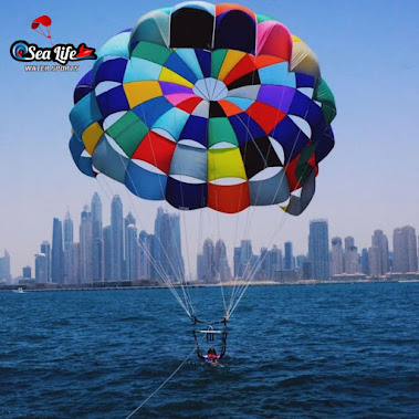 Sohail_Kumar93's tweet photo. Came across this amazing blog about parasailing in Dubai! 🌅✨ Soaring above the beach with stunning views—definitely a must-try!

https://t.co/RmU70qk5HX

#Parasailing #DubaiViews #AdventureTime #BeachLife https://t.co/QuWYv11QZX