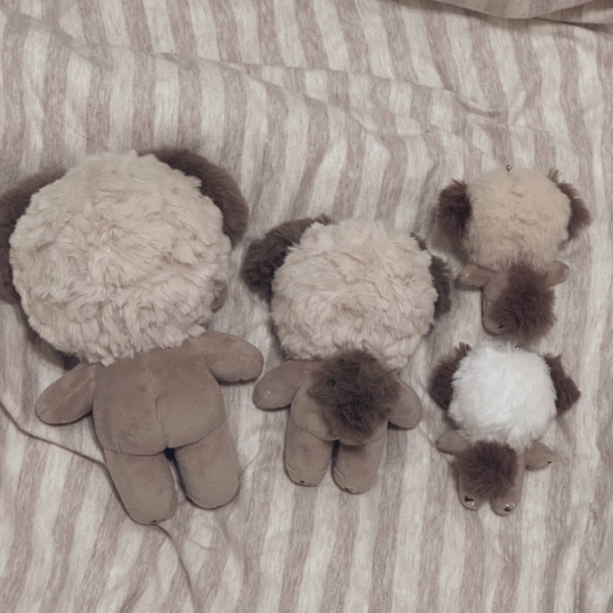 お尻四つ🍫🐑
可愛さは四倍🍫🐑