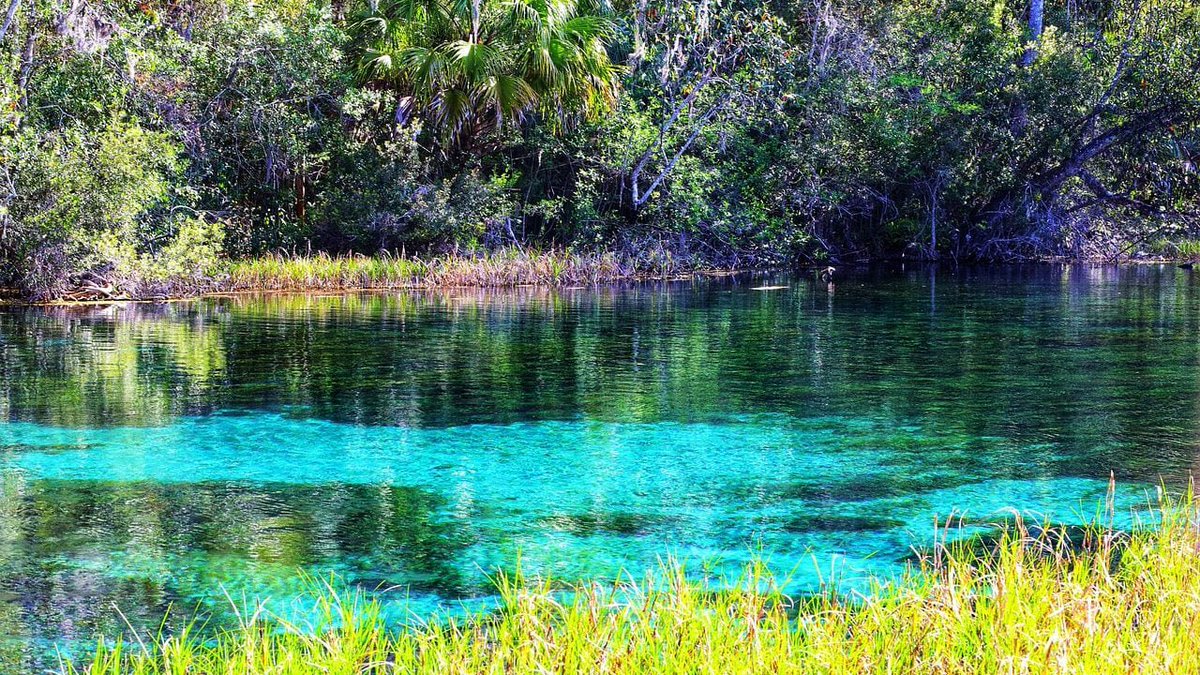 Descubre los maravillosos Manantiales de aguas azul turquesa en Pedro Baranda, un paraíso escondido en #Campeche.

Practica snorkel, nada y navega en kayak en este santuario ecoturístico alimentado por ríos subterráneos con un entorno de ensueño. Se formó gracias a la filtración