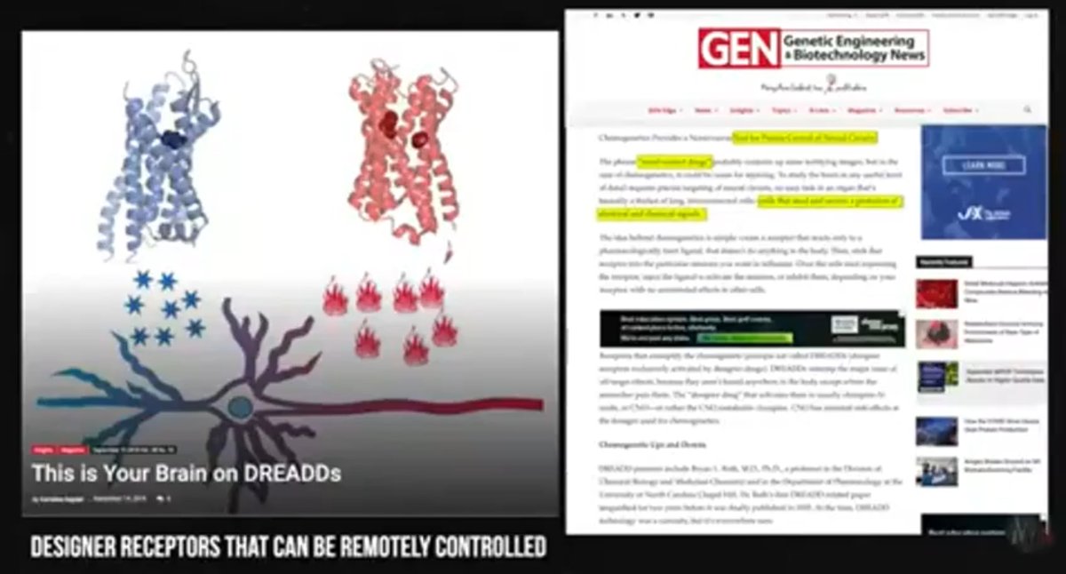ItsAllATheatre's tweet photo. This video shows the ‘god cells’ or ‘stem cells’ that can be anything you want them to be. Hacking the brain remotely &amp; controlling it.#RemoteMonitoring #WBAN #NeuroWeapons #BrainToBrainInterface #BioDigitalInterface #Biofield #HackableHumans
https://t.co/K7IAEyKvSU https://t.co/c7P5ecHZ6B
