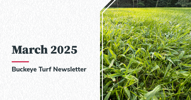 OSUturf's tweet photo. The March Buckeye Turf Newsletter is here!

Get expert insights on:
🚶 Managing early spring traffic
🏡 Lawn care tips for spring
❄️ Recovering from snow mold
🌾 Timing annual grassy weed control