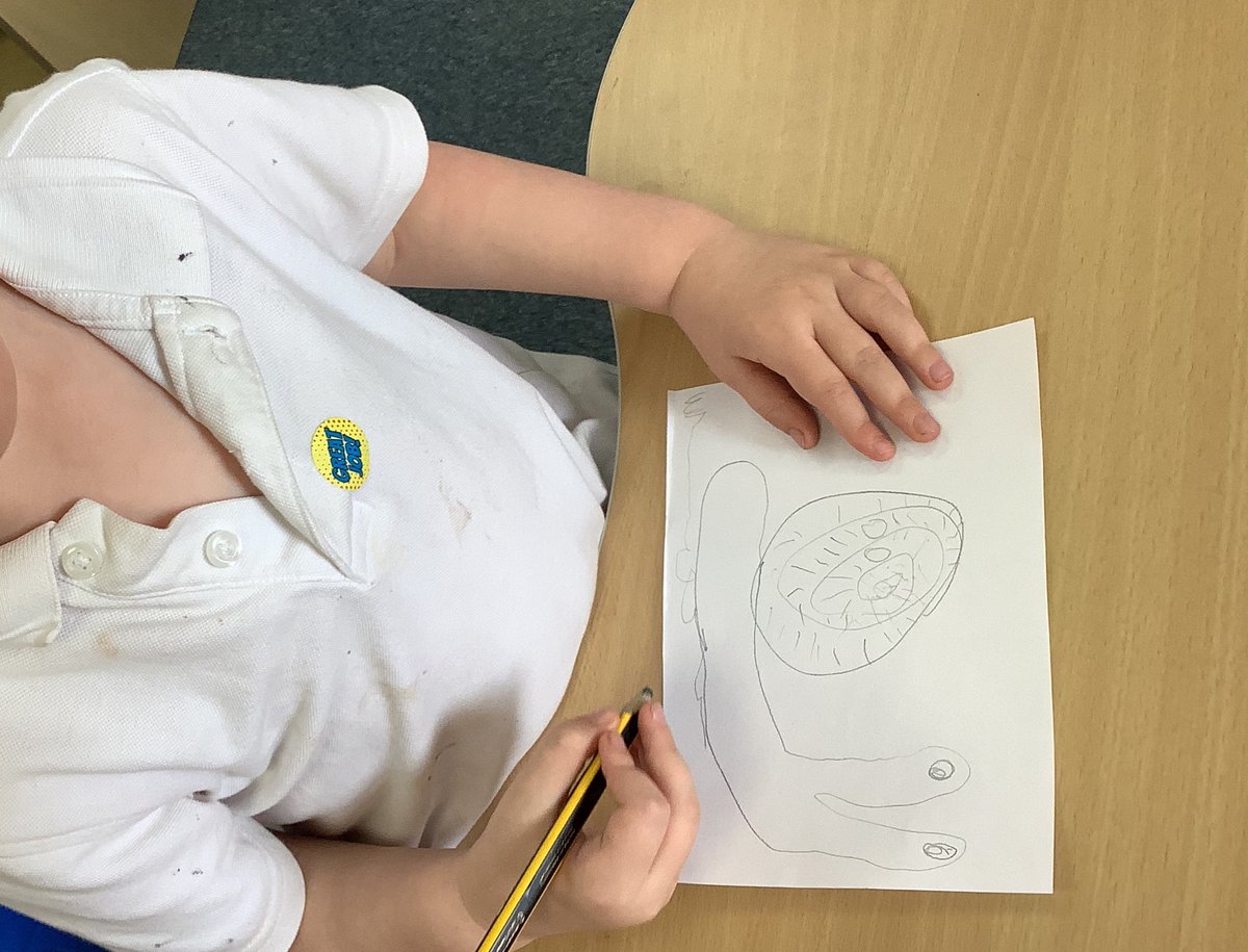 HasReception's tweet image. @HASReception are investigating snails! We have to look very closely to make an observational sketch…
✍️ 🐌 

#EYFS
#ExpressiveArtsAndDesign
