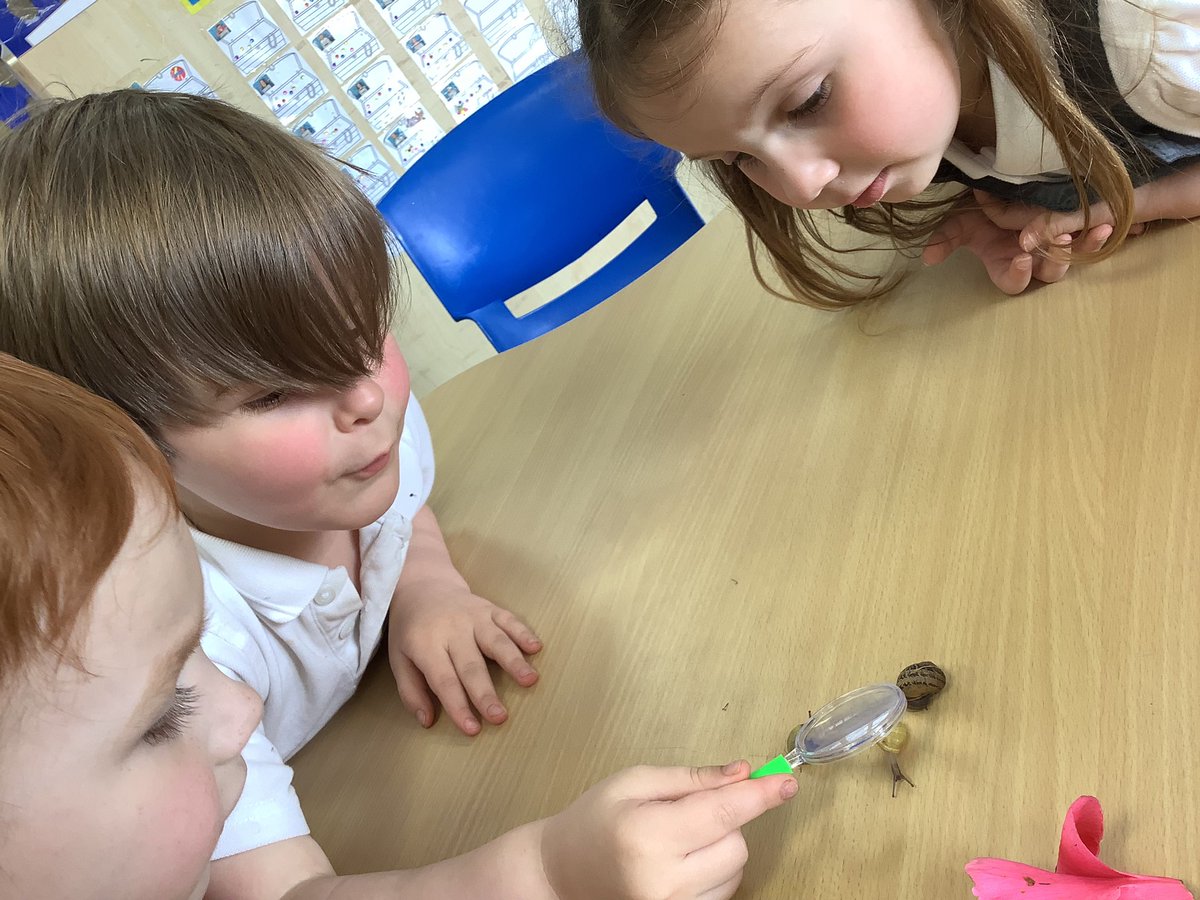 HasReception's tweet image. @HASReception are investigating snails! We have to look very closely to make an observational sketch…
✍️ 🐌 

#EYFS
#ExpressiveArtsAndDesign