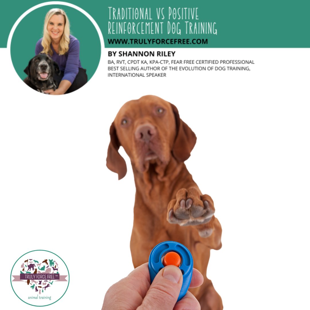 forcefree_pets's tweet image. 🐶✏️Shannon Riley's #dogblog Traditional VS Positive Reinforcement Dog Training

Can you trust the advice your trainer’s giving you?

Continue Reading #dogblog 
trulyforcefree.com/traditional-vs…
