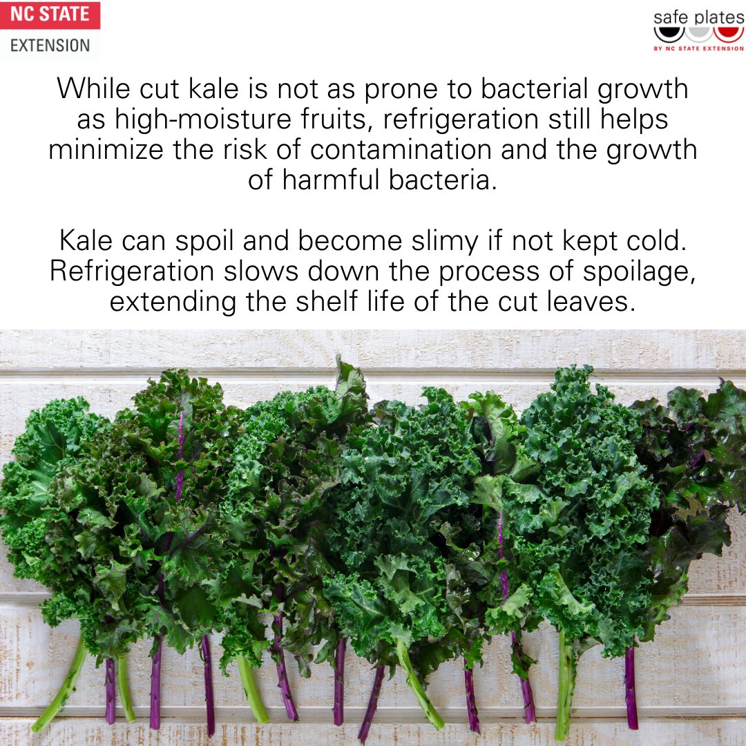 Safe Plates Food Safety Information Center tweet media