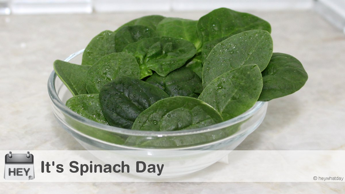 HeyWhatDay's tweet image. It&apos;s Spinach Day! 
#SpinachDay #SpinachFestivalDay #Spinach