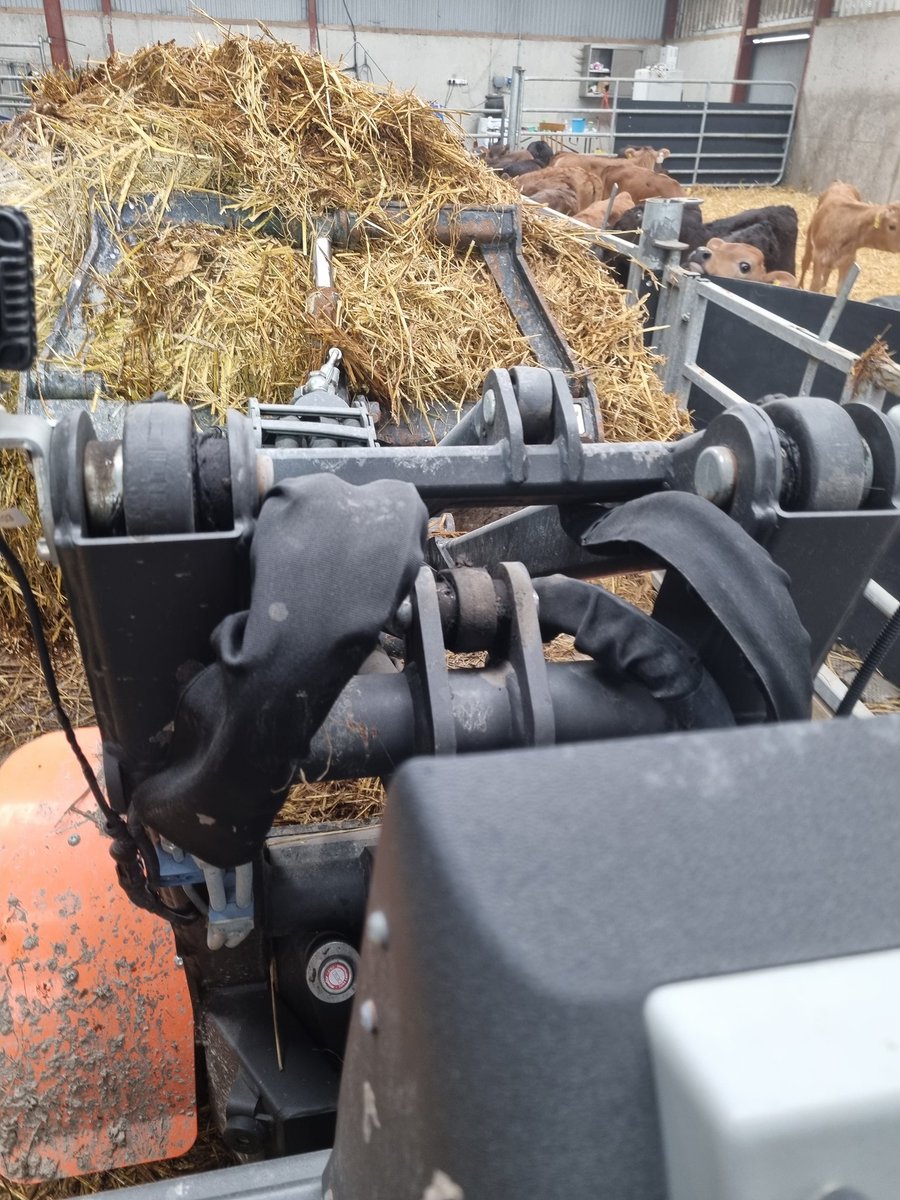 This little loader giving me some appreciation of that metal condition   you can catch🥰