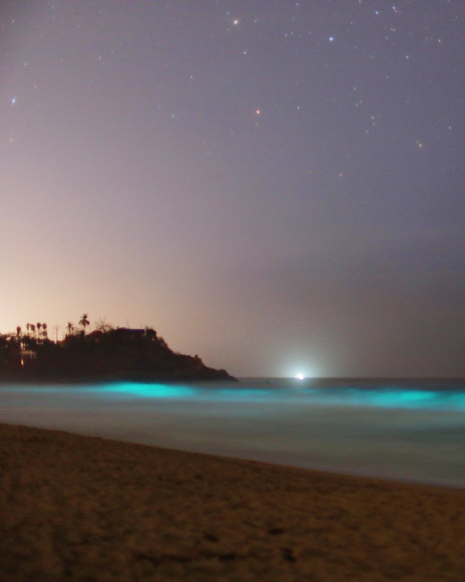 David__Rizo's tweet photo. Night of bioluminescence. 
Noche de bioluminiscencia, San Francisco, Nayarit. 

#Nayarit #bioluminiscence #bioluminiscencia #FelizMiércoles #canoneosrp #canonmexico https://t.co/6oqqi2caGR