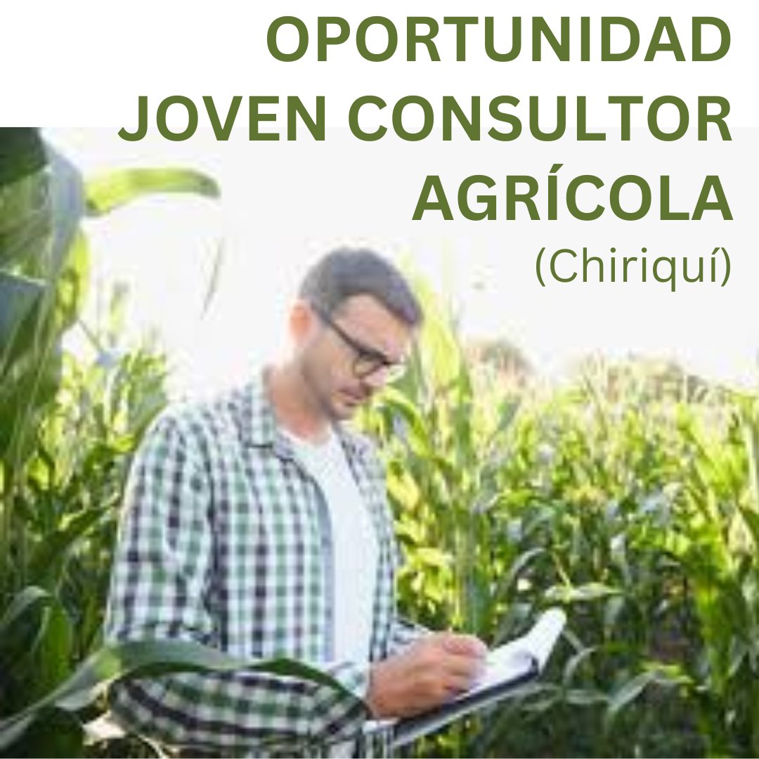 panama0pobreza's tweet photo. OPORTUNIDAD PARA JOVEN CONSULTOR AGRÍCOLA.
Se necesita un Joven preparado en el campo agrícola que vaya a campo, a parcelas de prueba para ver cómo se comportan sus semillas en el clima y suelos de Panamá.

Mas info: https://t.co/VSW9Jj82Zs

Aplica aquí: https://t.co/kQWKT21aWP https://t.co/lS4U8fVucQ