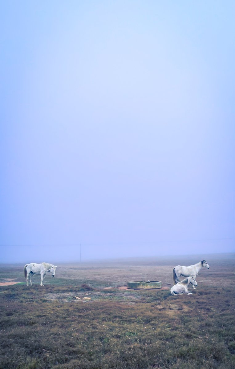 I 💛 Darling Newsletter - mailchi.mp/696ce03e5866/i…

Click on Facebook Page Newsletter tab to subscribe to this weekly newsletter.

PHOTO:  Stephen Duckitt