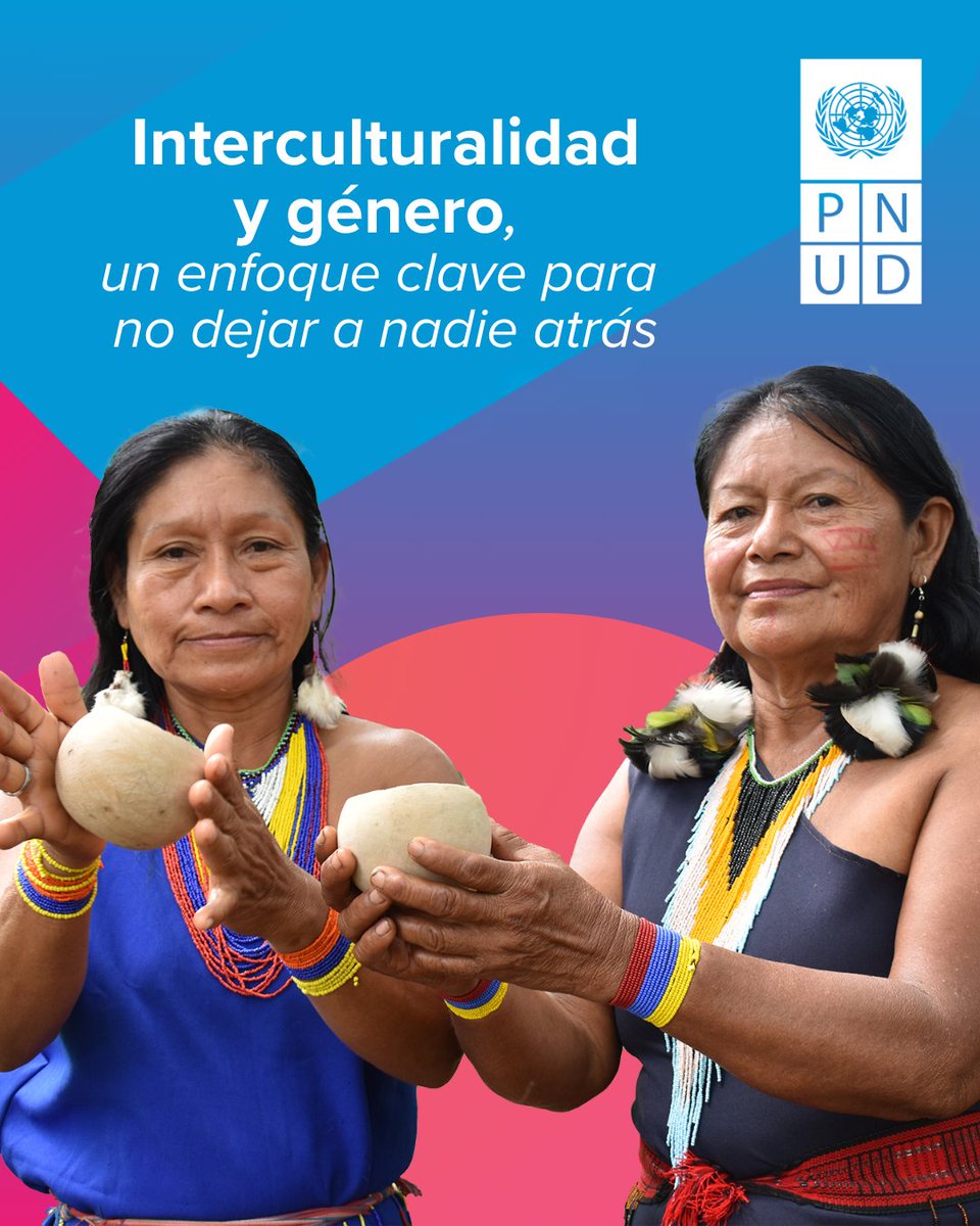 PNUDEcuador's tweet image. #8M💜📢 Igualdad de género e interculturalidad, el camino para el desarrollo sostenible
Descubre la guía elaborada por @Ambiente_Ec, con el apoyo de #PNUD, una herramienta clave para fortalecer estos enfoques en iniciativas #REDD+ .🌿
📥 Descárgala👉bit.ly/41AjHDi