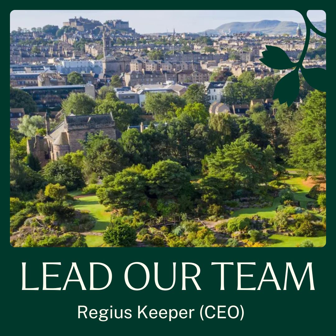 Could you be the next Regius Keeper (CEO) of the Royal Botanic Garden Edinburgh?

We're seeking an exceptional leader with innovation, strategic thinking, and a passion for plants to shape our future.

Apply for this prestigious and incredibly rare role: rbge.org.uk/regius-keeper