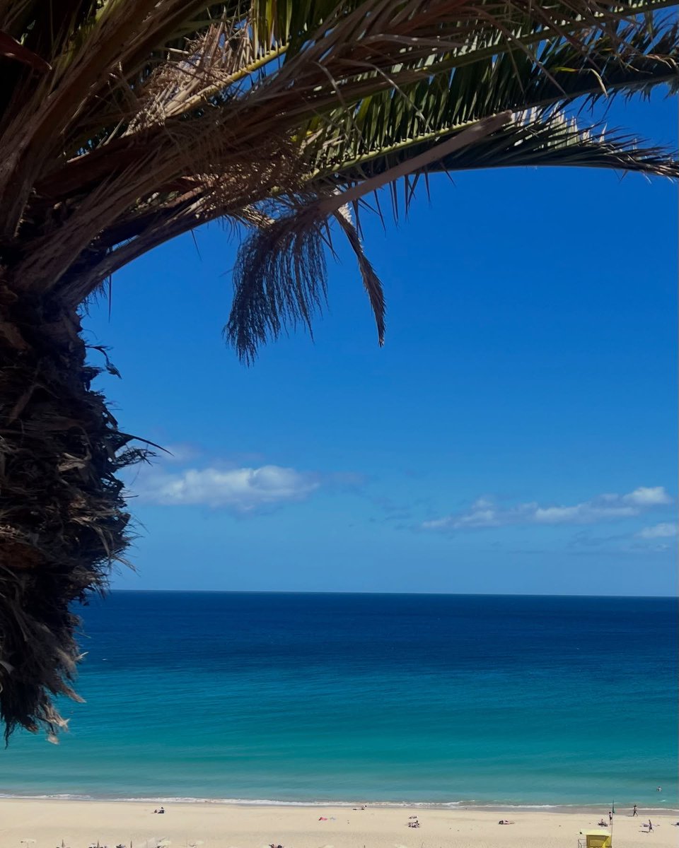 Lydia86740165's tweet photo. Core memories 🌺📷 🌴 https://t.co/AVTdYfUzSB