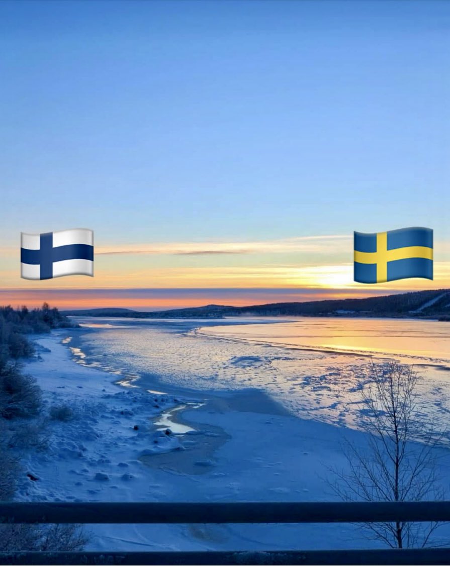 Joel Willans tweet media