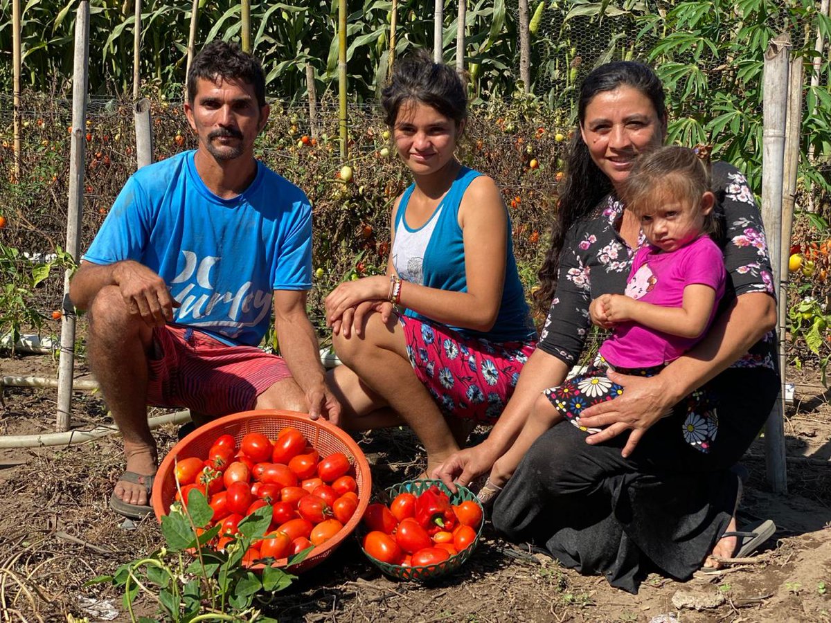 🌽 Transforming food systems, one community at a time.

🇸🇻El Salvador launches a new joint programme to promote sustainable diets, fight malnutrition &amp; boost local resilience—starting in Conchagua.

Learn more: jointsdgfund.org/article/transf… #SDGLocalization