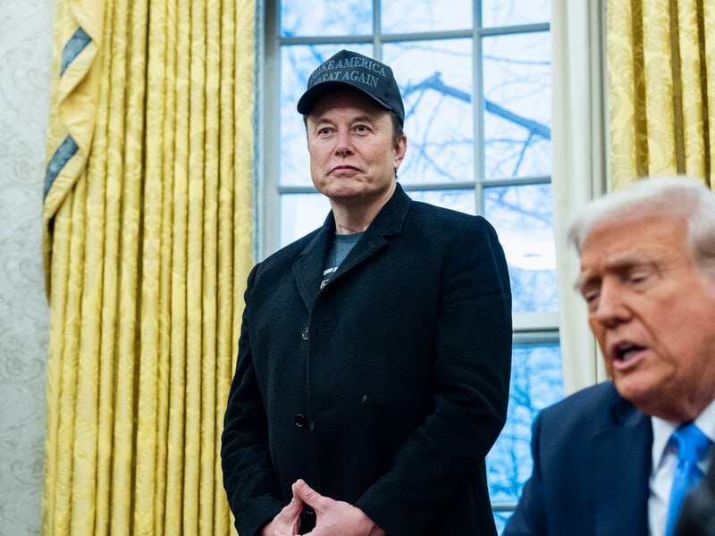 ElephantSignal's tweet photo. 🚨I want from you to be Honest for this Question:

Are you happy that Elon Musk works in the White House?

Be honest! https://t.co/nagL9CYrzy
