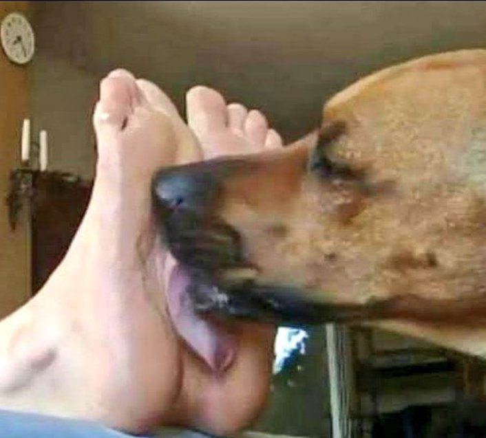 shivsainik007's tweet image. एवढच सांगेन आयुष्यात मित्रा बनवा पण 

@RahoolNKanal सारखा गद्दार मित्र कधीच बनवू नका 

अशी लोक तुम्ही जोपर्यंत त्यांच्या फायद्यात आहात तोपर्यंत तुमचे तळवेही चाटणार आणि तुमचा वाईट काळ आलकी 

सगळ्यात आधी हेच मित्रा तुमच्या विरोधात असणार!

@AUThackeray