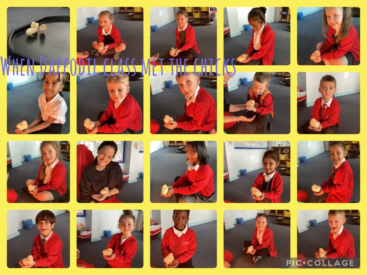 St Finbar's Year 1 Daffodil Class tweet media