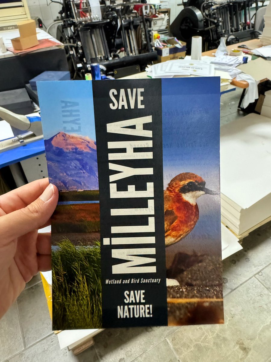 Emin Yoğurtcuoğlu tweet media