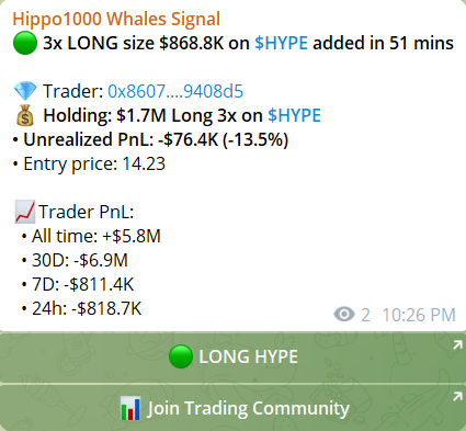 Hippo1000 tweet media