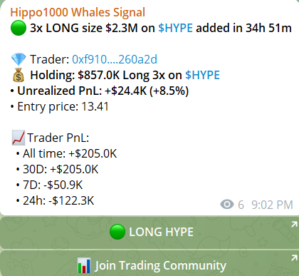 Hippo1000 tweet media