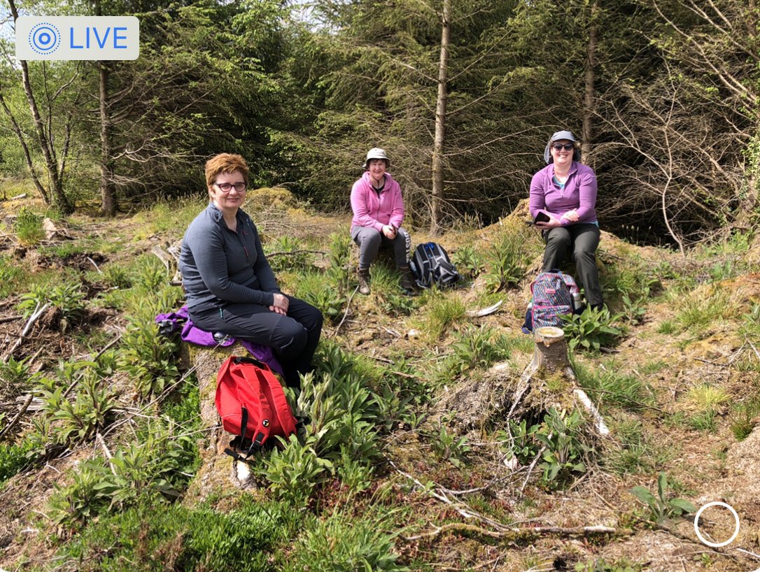 Bíonn sos mhaidin an-thábhachtach ar shiúl  an Domhnaigh!
We love our elevenses!
Carriganima area this Sunday and on Monday evening - Mouth of the Glen between Ballingeary and Ballyvourney. (Monday evening instead of Tuesday afternoon this week.) To join us 0872231225