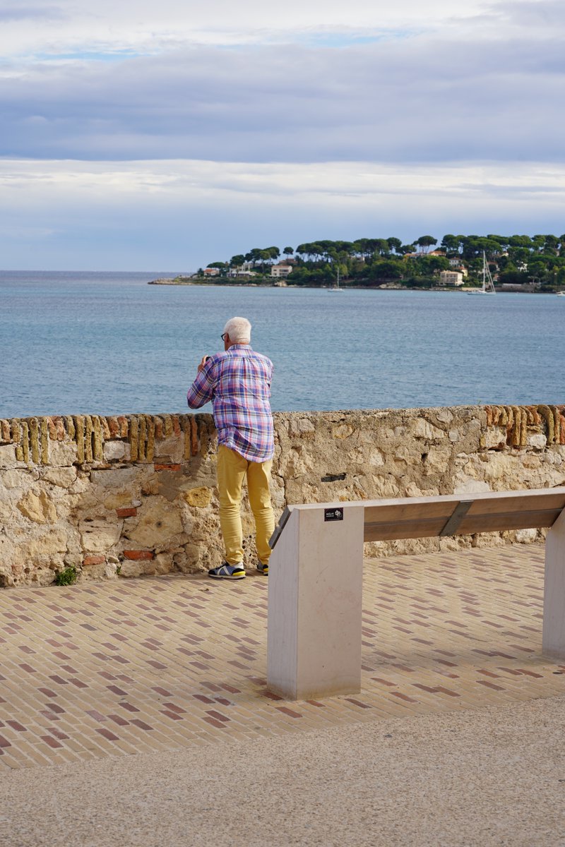 Antibes Juan les Pins 🌳🌊☀ tweet media