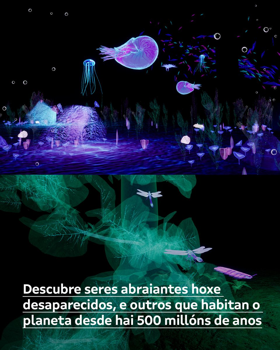 CidadedaCultura's tweet photo. 🪼 Sabías que as medusas habitan a terra desde hai máis de 500 millóns de anos? Queres ver o aspecto dun milpés xigante de dous metros de longo? En #Orixes podes camiñar a través do tempo sen saír do Museo Gaiás.
Colle entrada👉 https://t.co/Rpzqnxmlf4 
🔵 @Xunta @CulturaXunta https://t.co/WwsoynhEdF