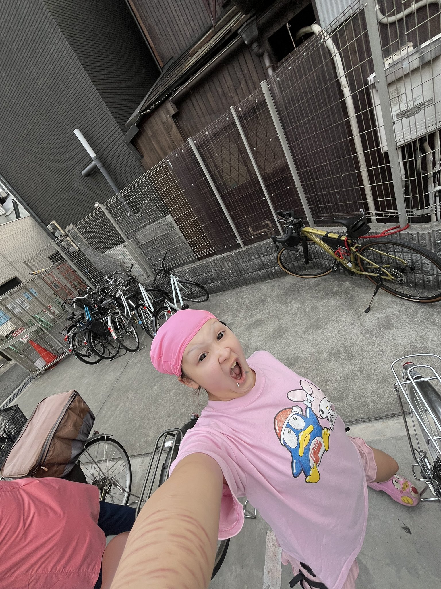 のいず様♡確認page☆ジェラトーニss のいず様♡確認page☆ジェラトーニss おもちゃ
