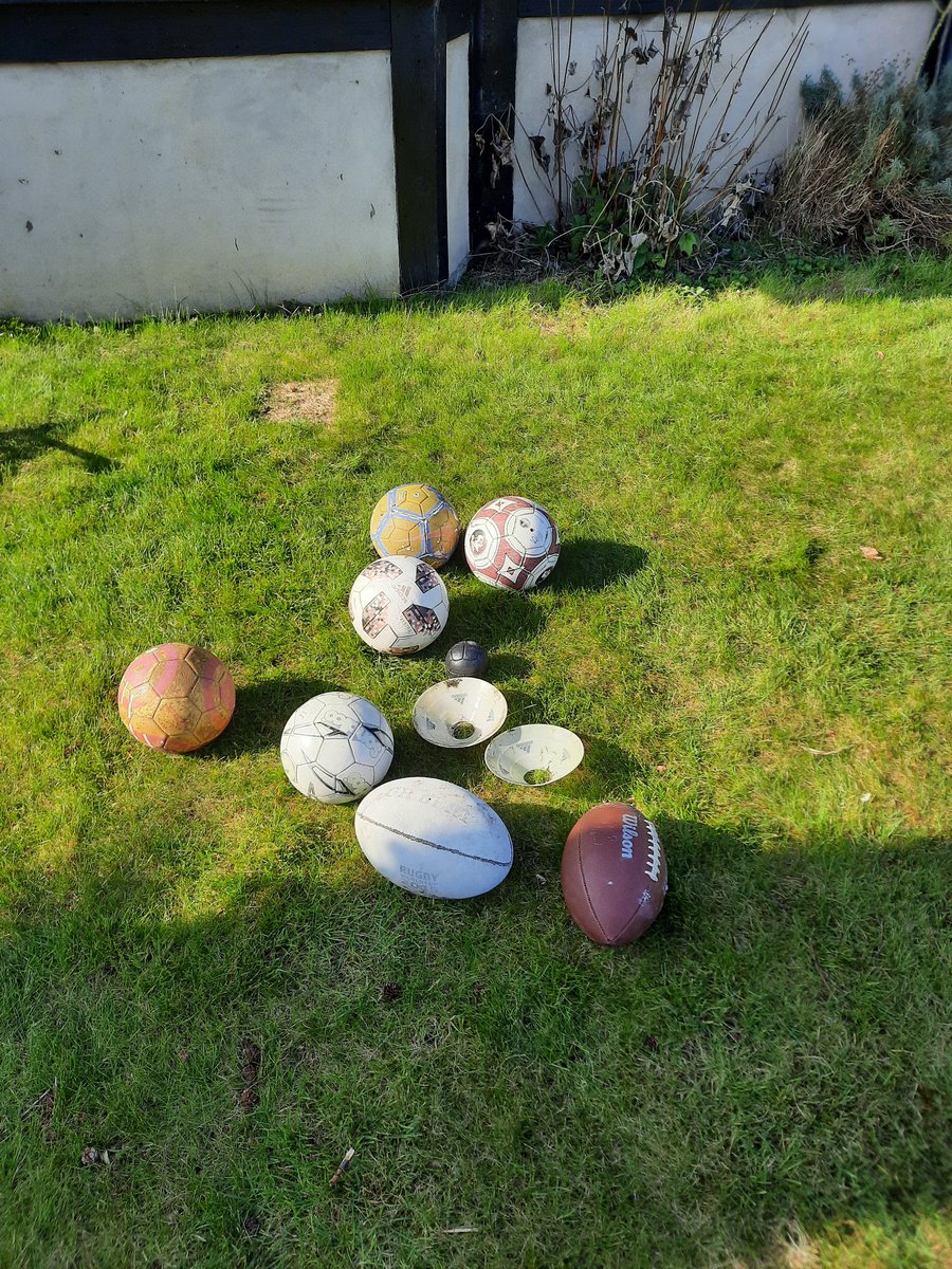 MPattenM's tweet image. Spring cleaning the garden and under every shrub...