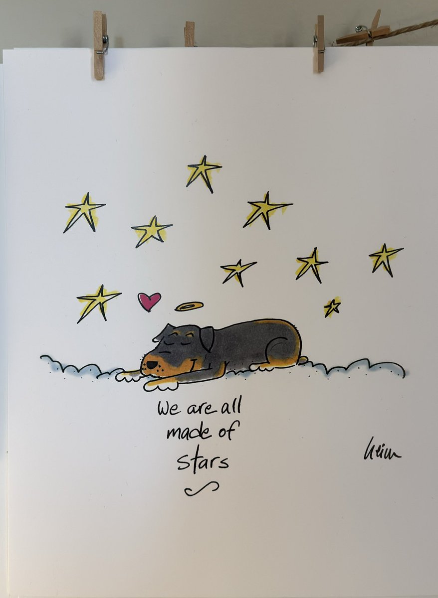 If you’d like to help, the prints are $100 and funds are sent to <a href="/servicerotties/">Team Servicerottie🇨🇦🐕‍🦺🦽</a> as they come in.
The prints honour Kuno and his place in the stars. 
DM me or reply to this thread fur details.