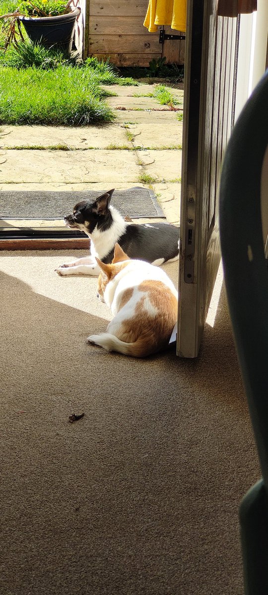 <a href="/NolanColeen/">Coleen Nolan</a> Enjoying the 🌞
