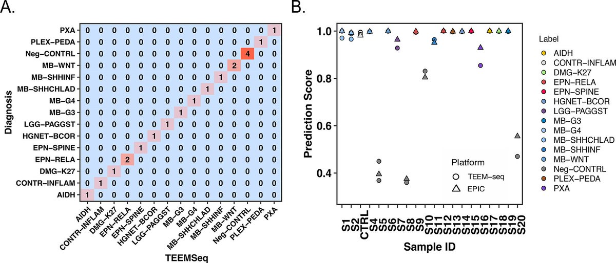 brainpathol's tweet image. Validation of target-enriched enzymatic methylation sequencing for brain tumor classification from formalin-fixed paraffin embedded-derived DNA
onlinelibrary.wiley.com/doi/10.1111/bp…