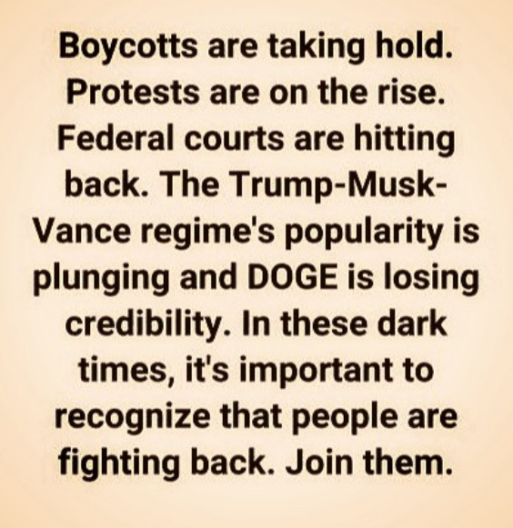 smc429's tweet image. 