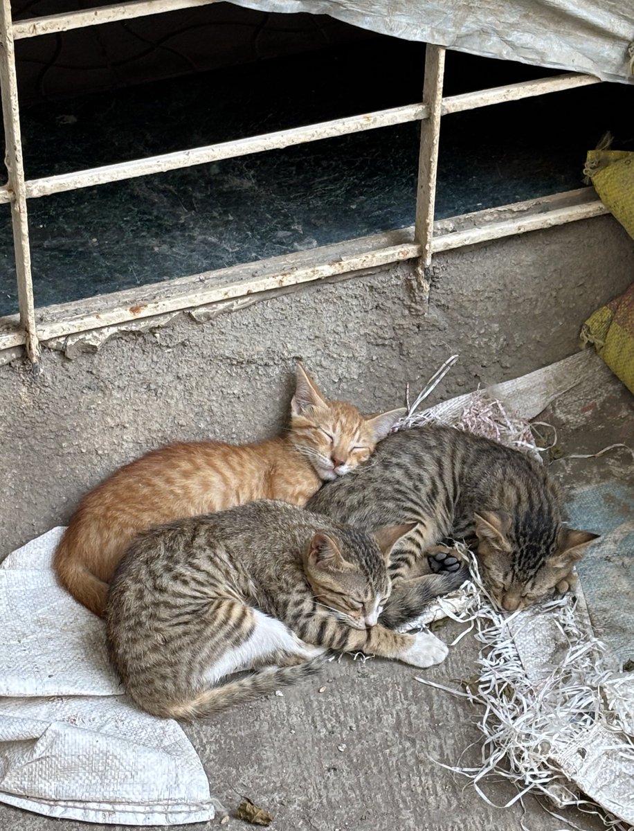 Somewhere in Mumbai