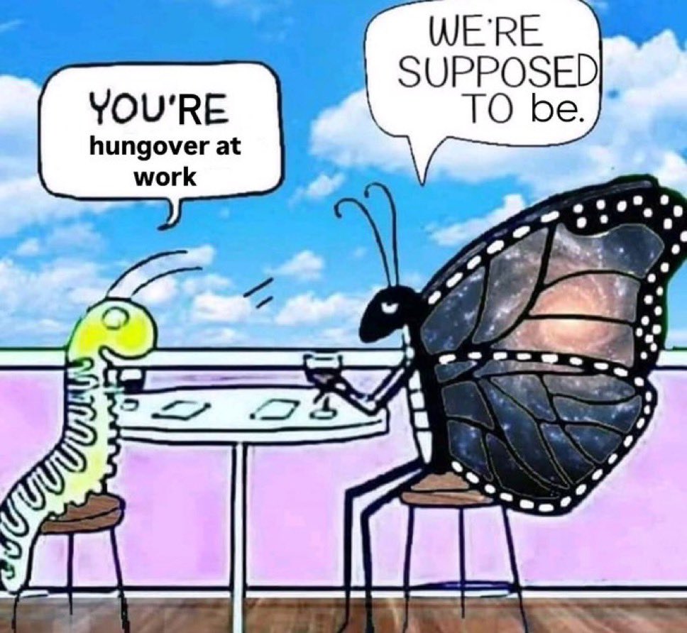 brokebackstan's tweet image. gm chat