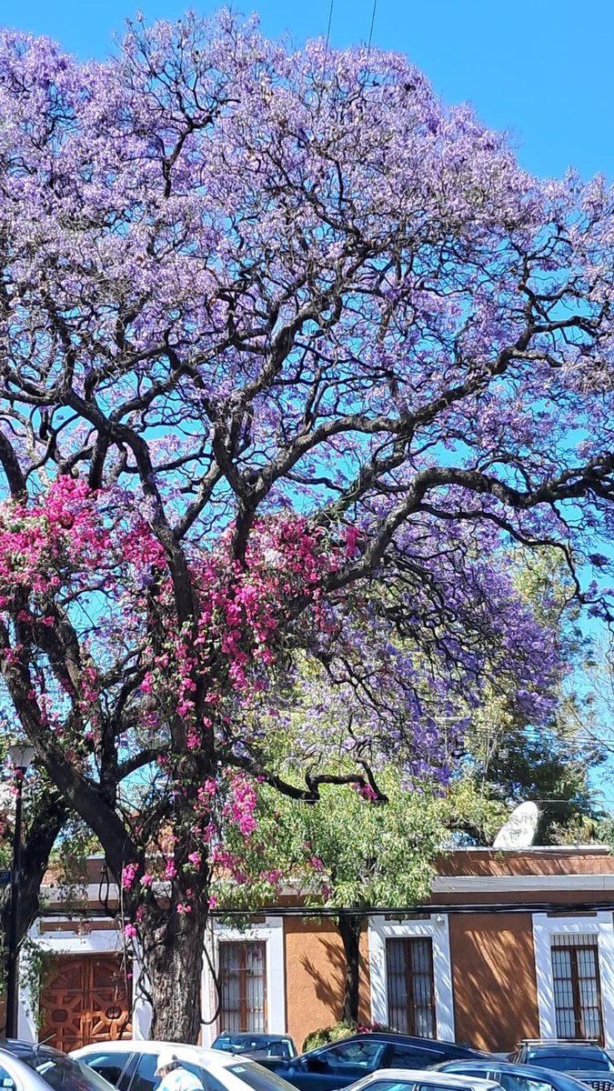 AWoodwardR's tweet photo. Alégrense… hay demasiado hate por aquí 💜💜💜 https://t.co/2uNbDMrMlK