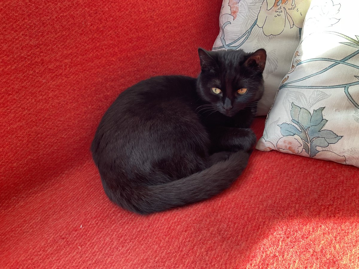 Henriette tweet media