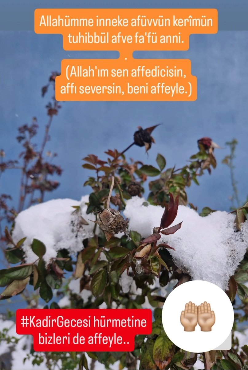 "Allahümme inneke afüvvün kerîmün tuhibbül afve fa'fü anni."
(Allah'ım sen affedicisin, affı seversin, beni affeyle..)
.
#KadirGecesi hürmetine bizleri de affeyle.. 🌹
.
Kadir Gecemiz Mübarek Olsun.. 🤲🏼