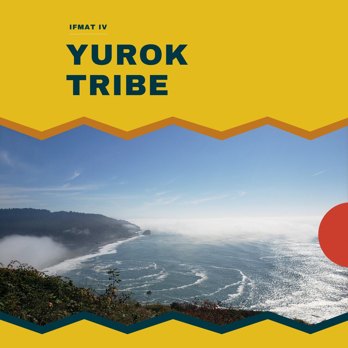 Intertribal_TC's tweet image. Exploring Tribal Forests: Yurok Tribe 🌲  The Indian Forest Management Assessment Team toured 37 tribal forests, including meeting with the Yurok Tribe in December 2021. Read the full IFMAT IV report: online.flippingbook.com/view/719646412/ #IFMATIV #IndianCountry