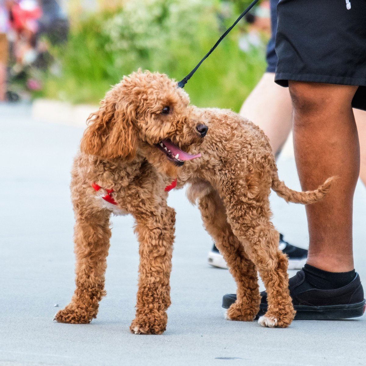 CityofCouncil Bluffs tweet media