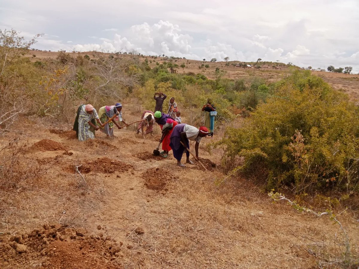 Grassroots Economics (@grassecon) on Twitter photo Seeing our first 200 transactions today on <a href="/Celo/">Celo.eth/acc š¦ š³</a> as a L2!
& seeing our 1st report today from a group of 27 people using sarafu.network to account for and connect their mutual-aid efforts to bring back a sacred forest.
sarafu.network/reports/301
Thanks to the GrE and Celo! Seeing our first 200 transactions today on <a href="/Celo/">Celo.eth/acc š¦ š³</a> as a L2!
& seeing our 1st report today from a group of 27 people using sarafu.network to account for and connect their mutual-aid efforts to bring back a sacred forest.
sarafu.network/reports/301
Thanks to the GrE and Celo!