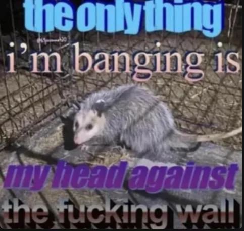 hourly_shitpost's tweet image. 