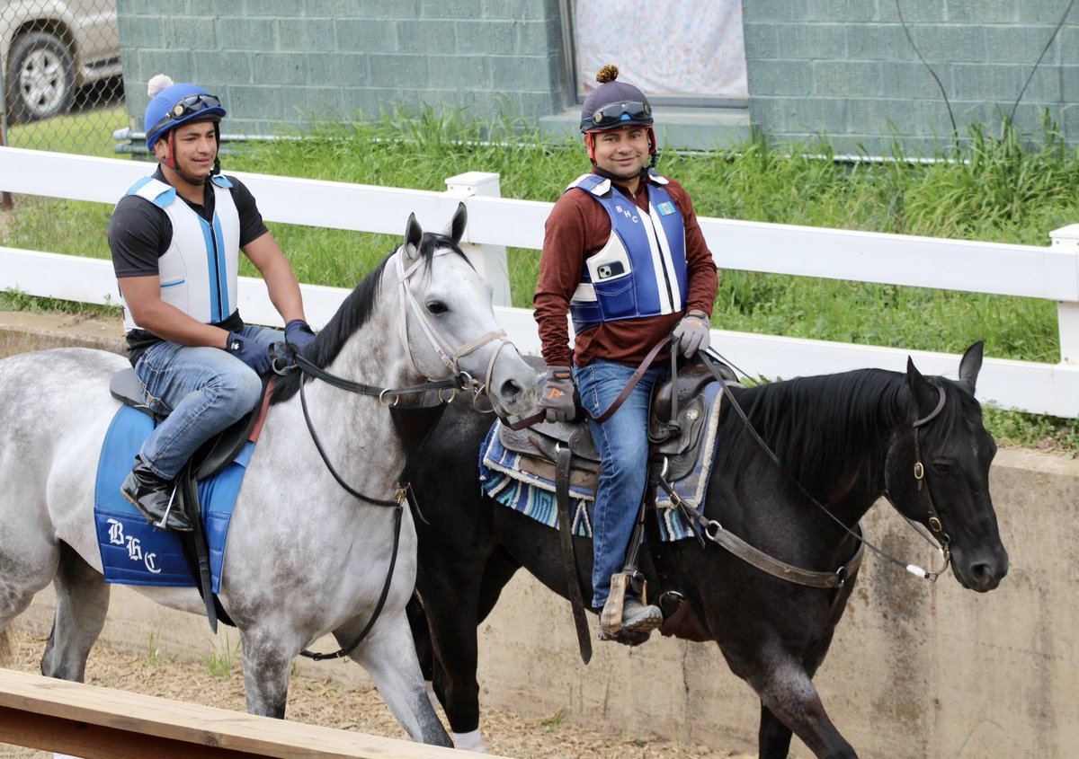 ⁦<a href="/OaklawnRacing/">Oaklawn Hot Springs</a>⁩ Another shot of Saudi Crown ⁦<a href="/FMQStables/">FMQ Stables, Inc.</a>⁩ ⁦<a href="/JorgitoAbrego/">Jorgito abrego</a>⁩ #TeamCox