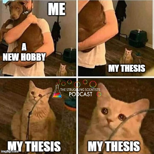 😿