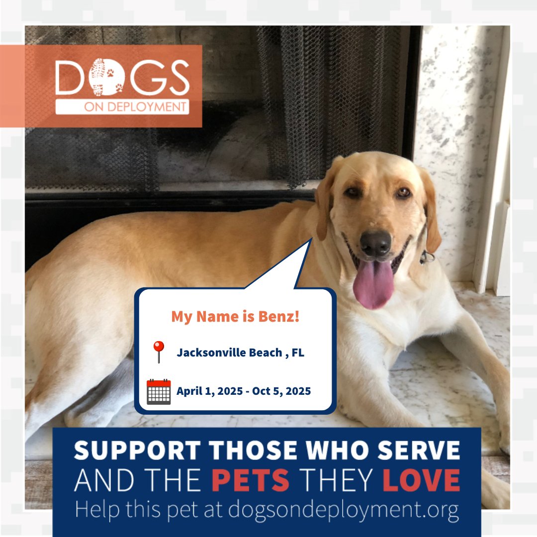 DogsonDeploymnt's tweet photo. โ๏ธBoarders Urgently Neededโ๏ธ
Bandit: https://t.co/NDkOa2mJfl
Benz: https://t.co/VPbrTzYntd
Morris: https://t.co/PSY2vXxypn
Frog: https://t.co/7Ua58QG5qA
(Must be registered & logged on to view all info)
#DoDFoster #FosterPet #DogsonDeployment #Florida #California #Colorado https://t.co/HQihU7Riqe