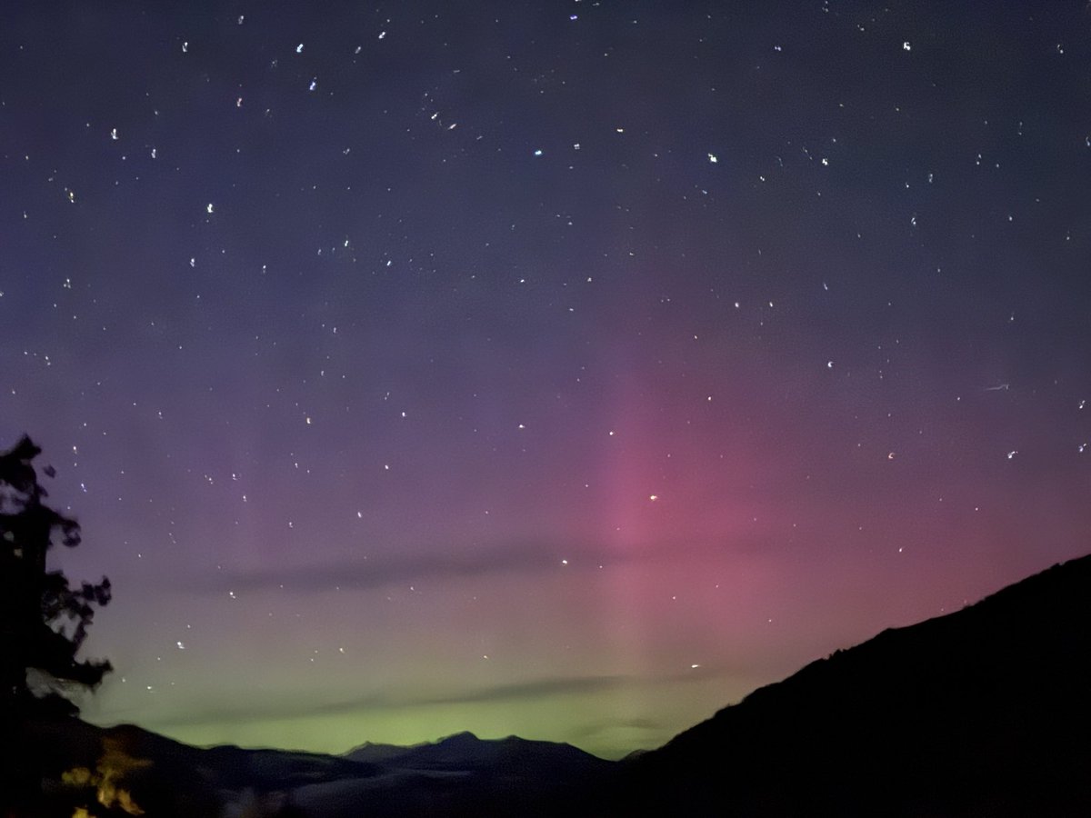 Anthony Garone tweet media